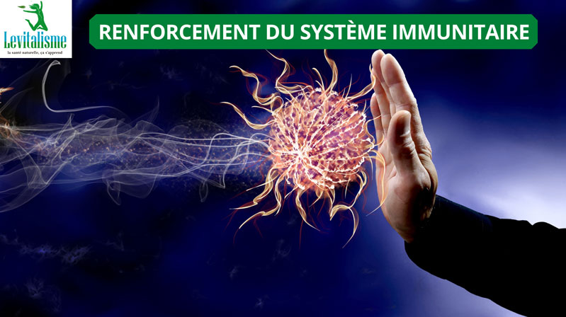 RENFORCEMENT DU SYSTÈME IMMUNITAIRE